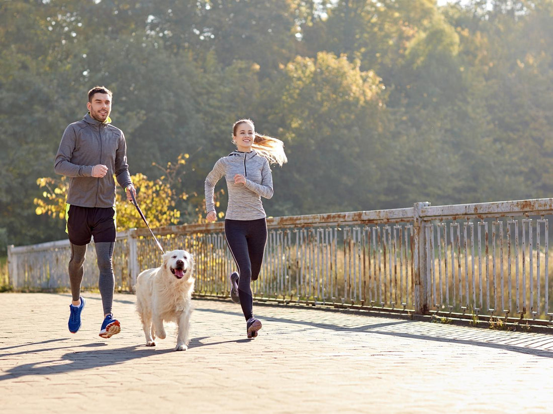 🐾 Eco-Friendly Pet Care: Better Choices for Your Pets