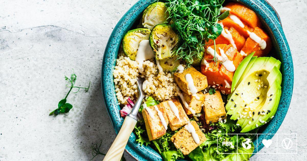 The Benefits of a Plant-Based Lifestyle
