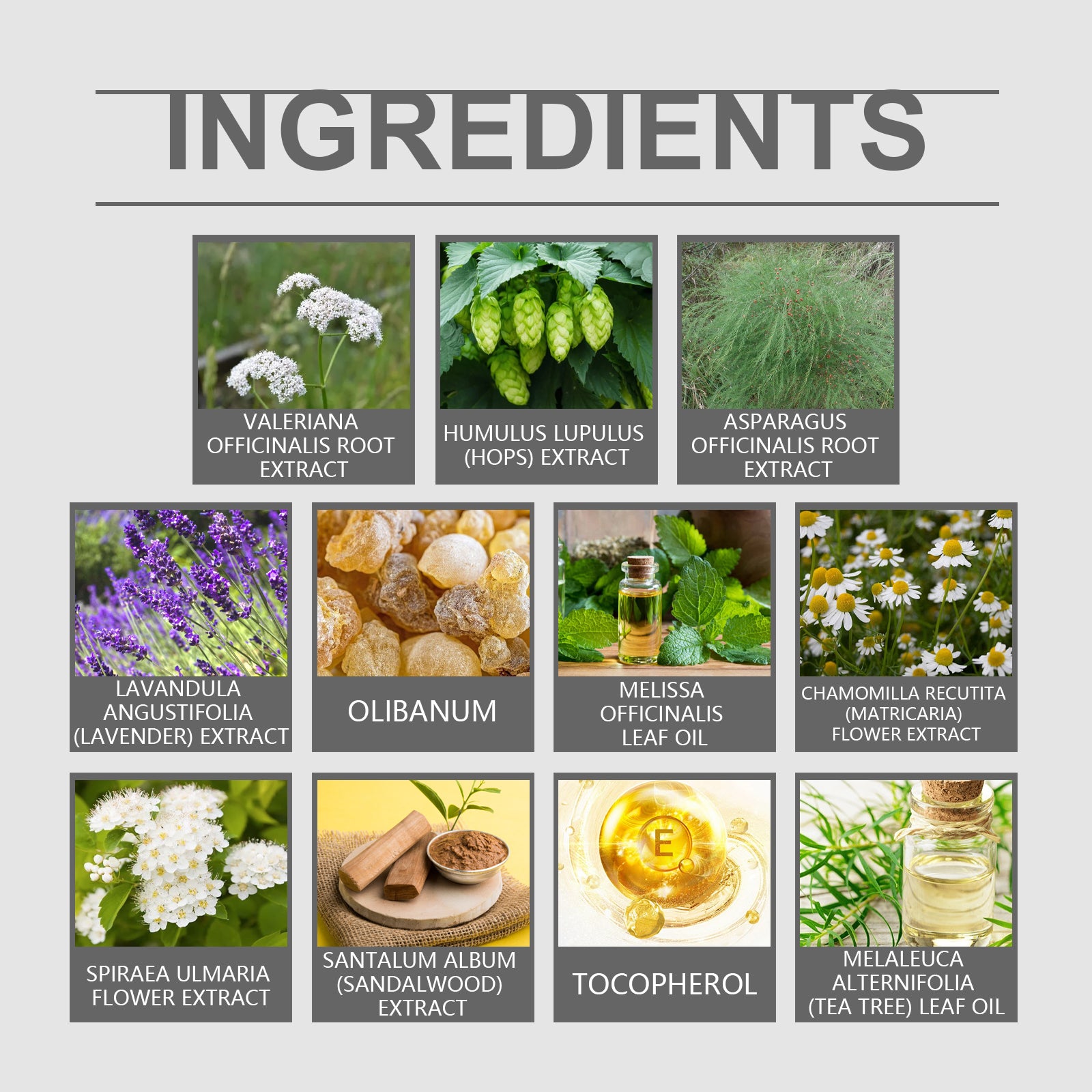 Organic Valerian Ointment Valerian Ointment Night Care Body Repair Massage Treatment Cream