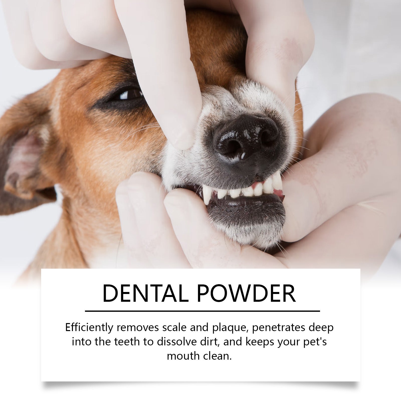 Cat And Dog Dental Cleaning Powder