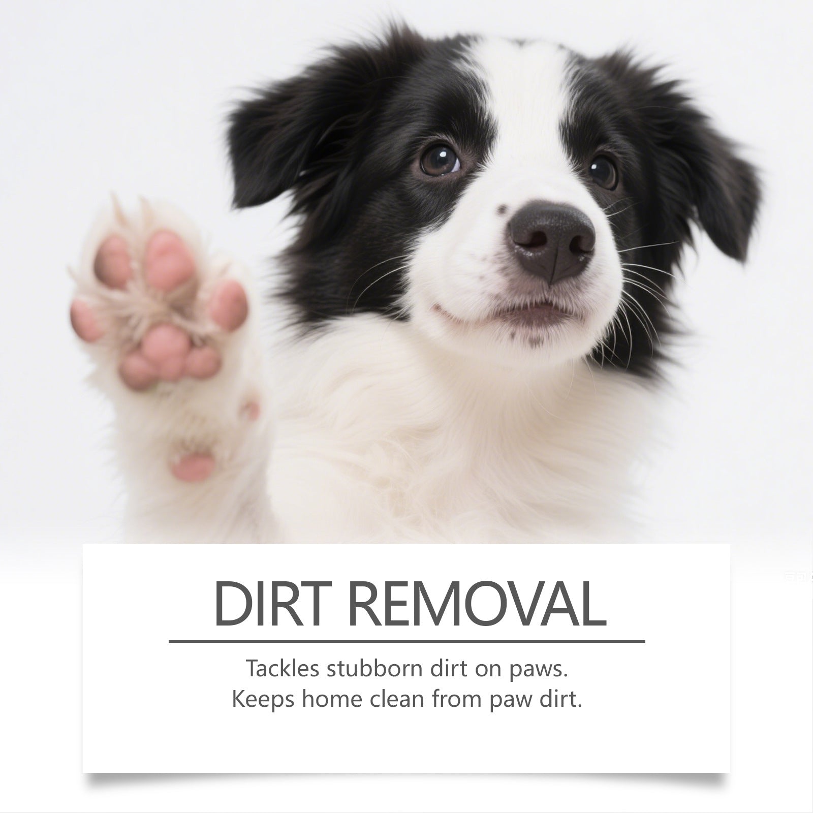 Pet Paw Cleansing Foam