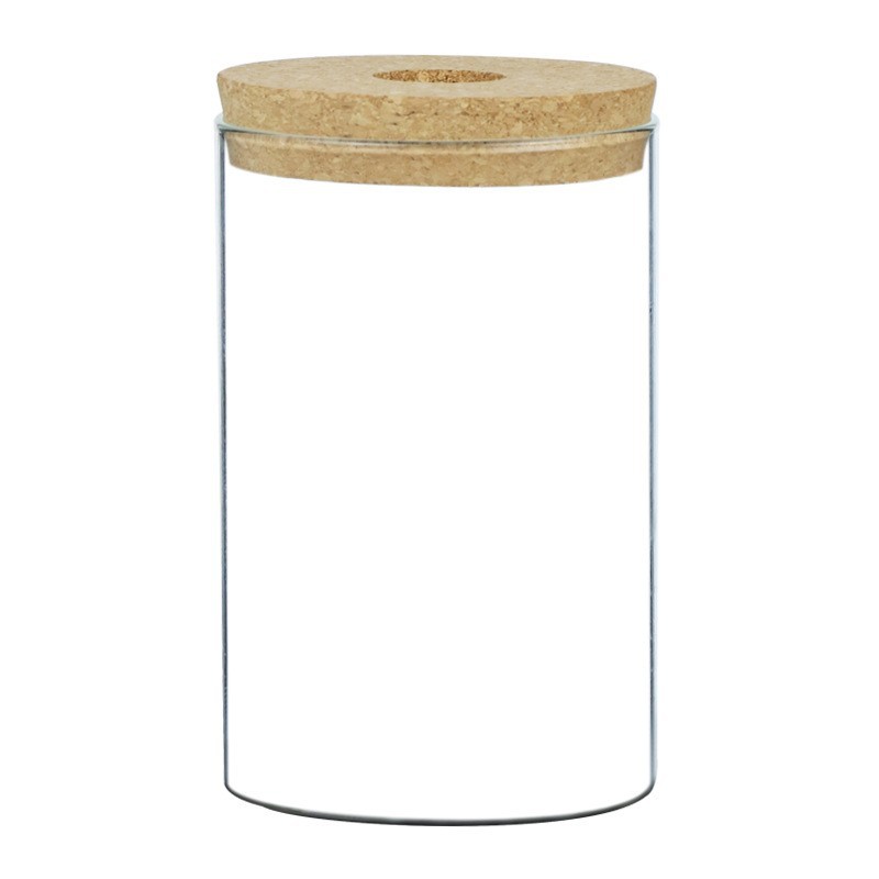 Ecological Bottle Micro Landscape Fish Tank