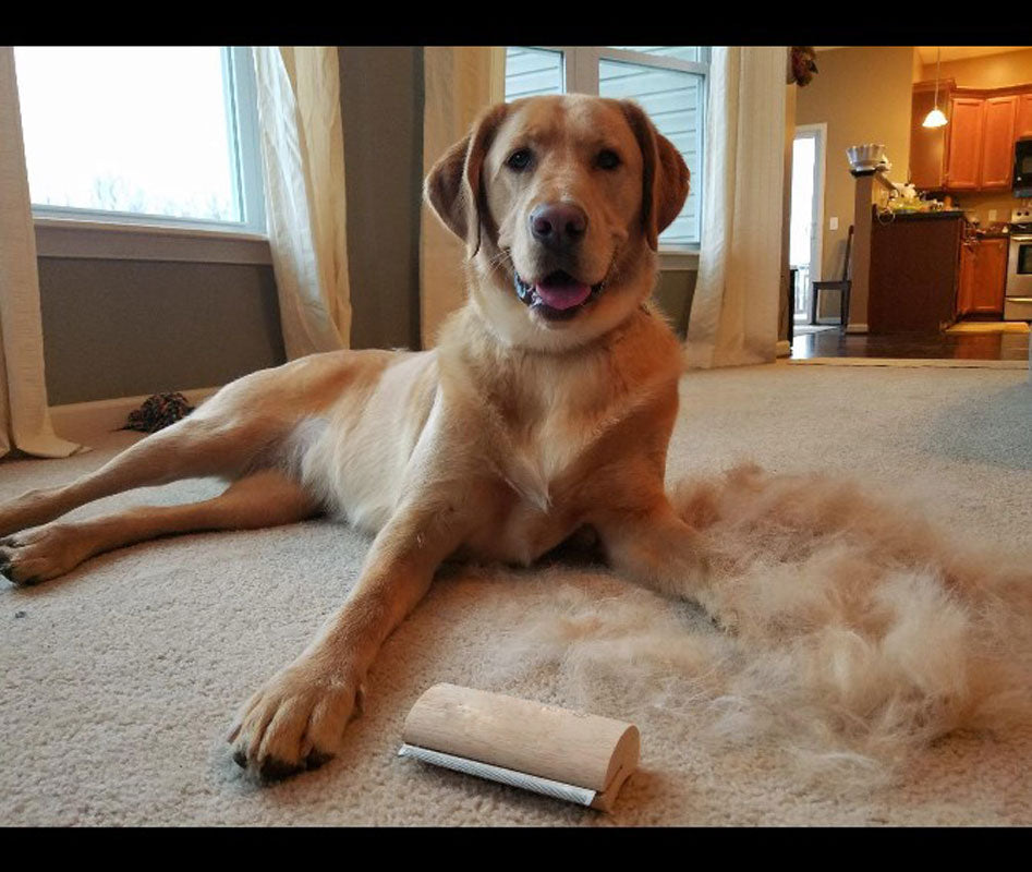 Wood Groom Brush vis Deshedding Grooming Tool, Professional Pet Wooden Groomer