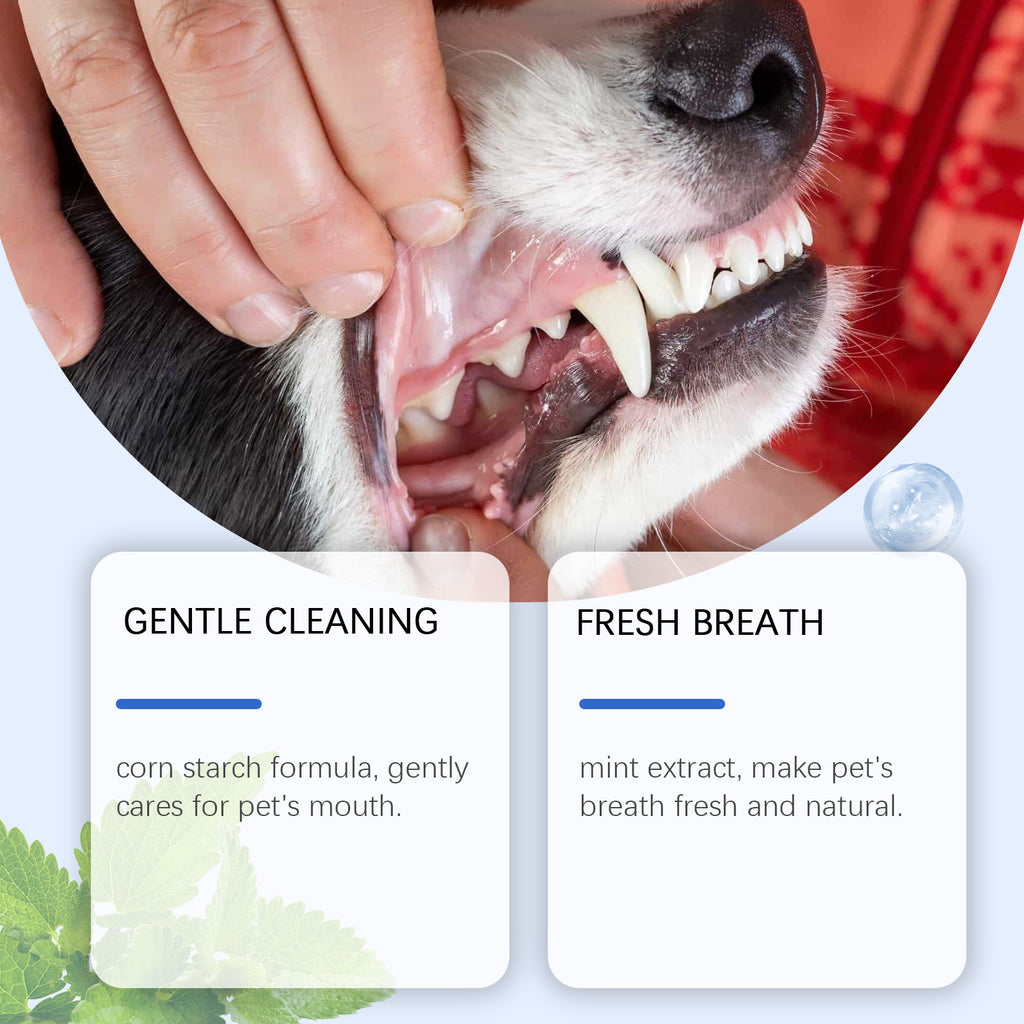 Cat And Dog Dental Cleaning Powder