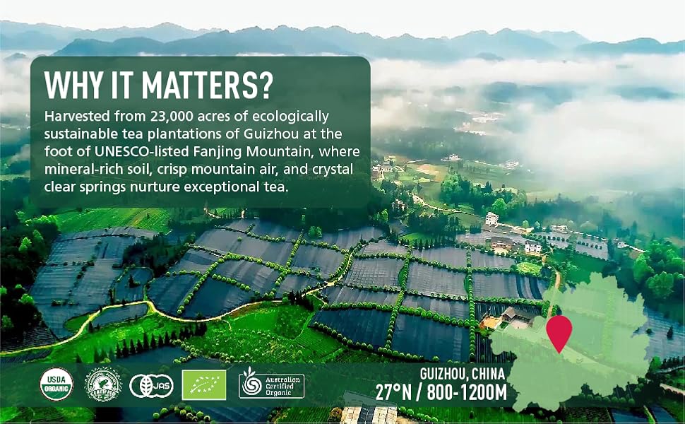 Matcha-Ceremonial Grade Organic Matcha Green Tea Powder,Premium First Harvest Unsweetened,1 0 0 Pure Matcha ForLattes,Smoothies,and Baking  40g 1.4oz-Ships From US- Tea-Coffee Mate