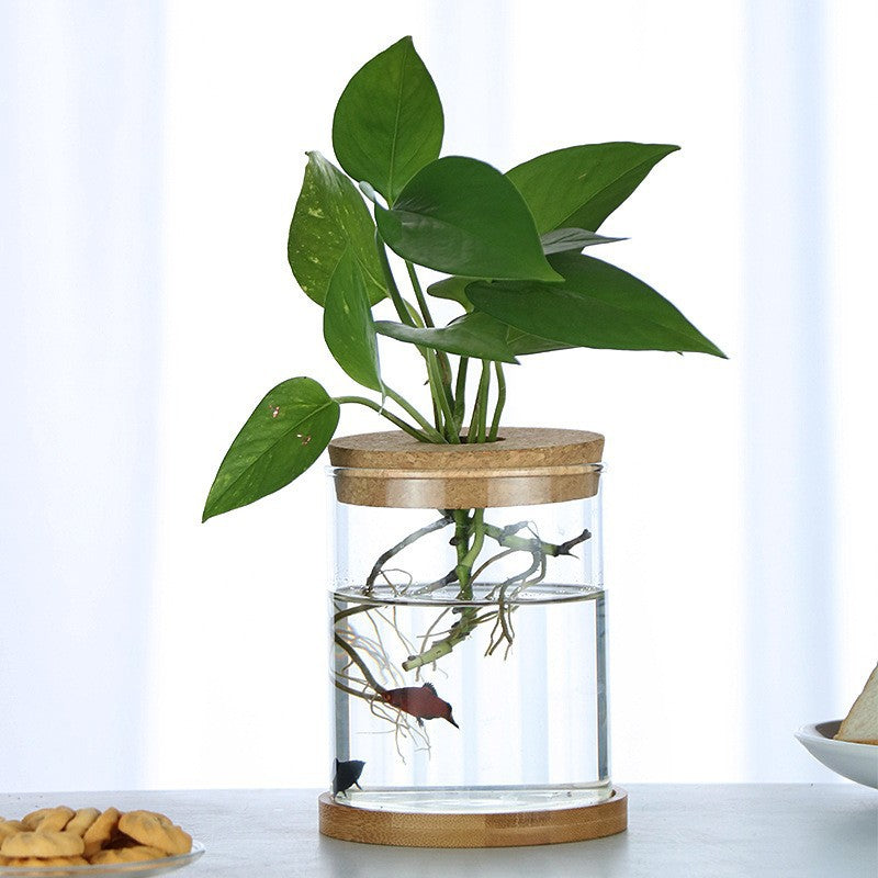 Ecological Bottle Micro Landscape Fish Tank