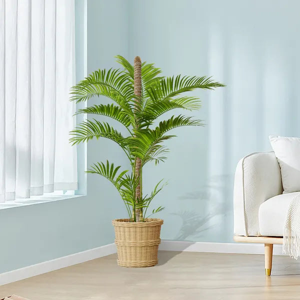 27.6inch Bendable Coconut Coir Stick With Hemp Rope The Ideal Plant Support, Natural And Eco-Friendly, Easily Create A Green Space
