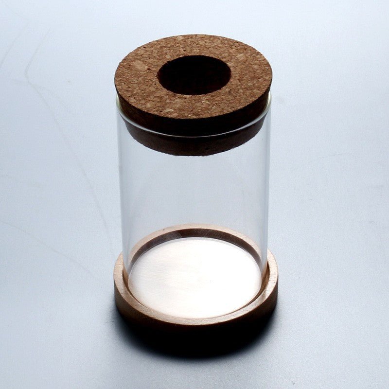 Ecological Bottle Micro Landscape Fish Tank - Image 4
