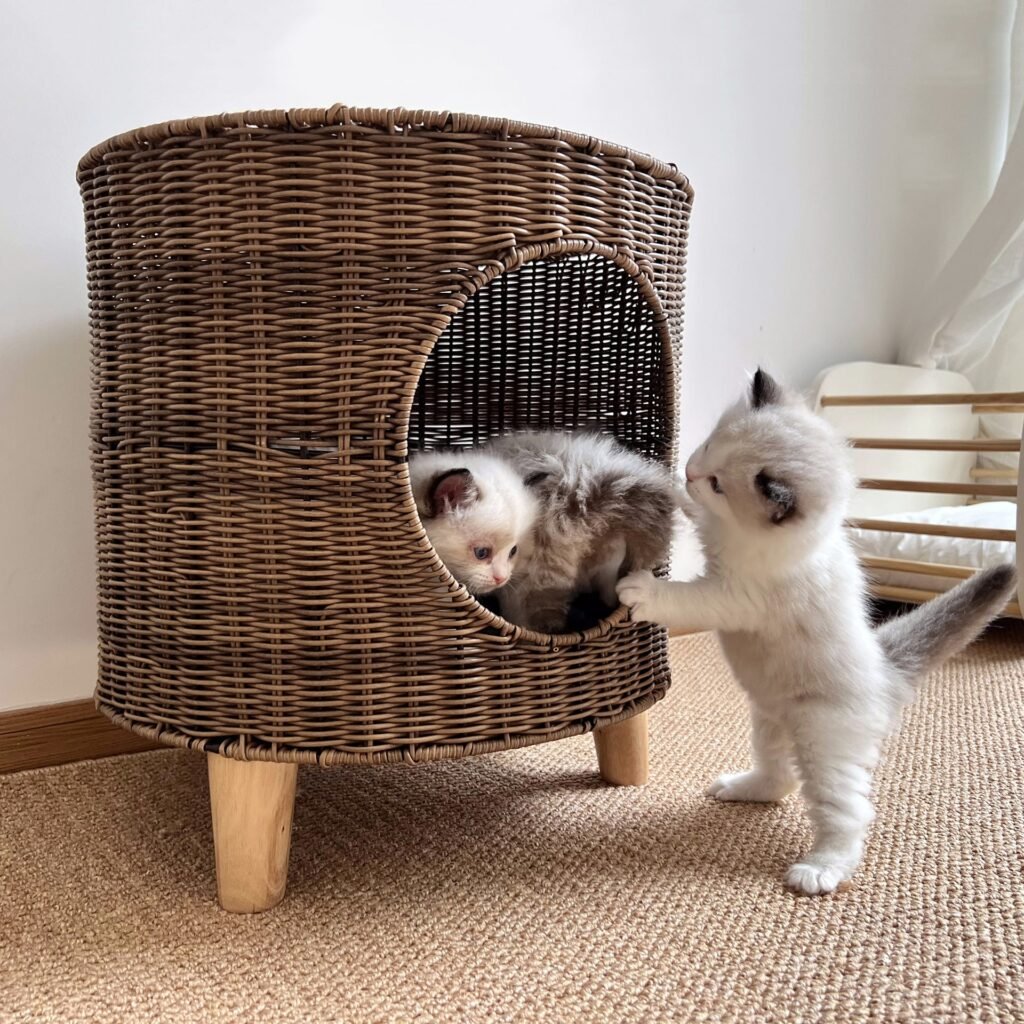 Warm, Semi-enclosed Wicker Cat Bed For Winter