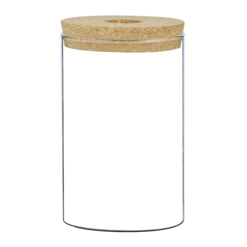 Ecological Bottle Micro Landscape Fish Tank - Image 5