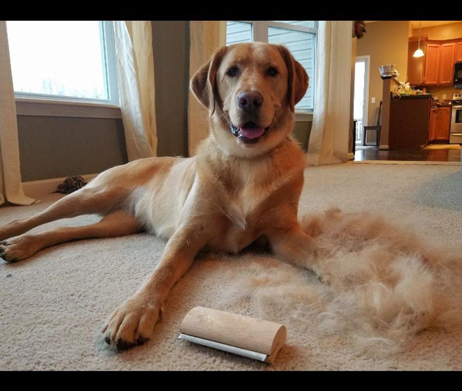 Wooden Pet Deshedding Grooming Brush