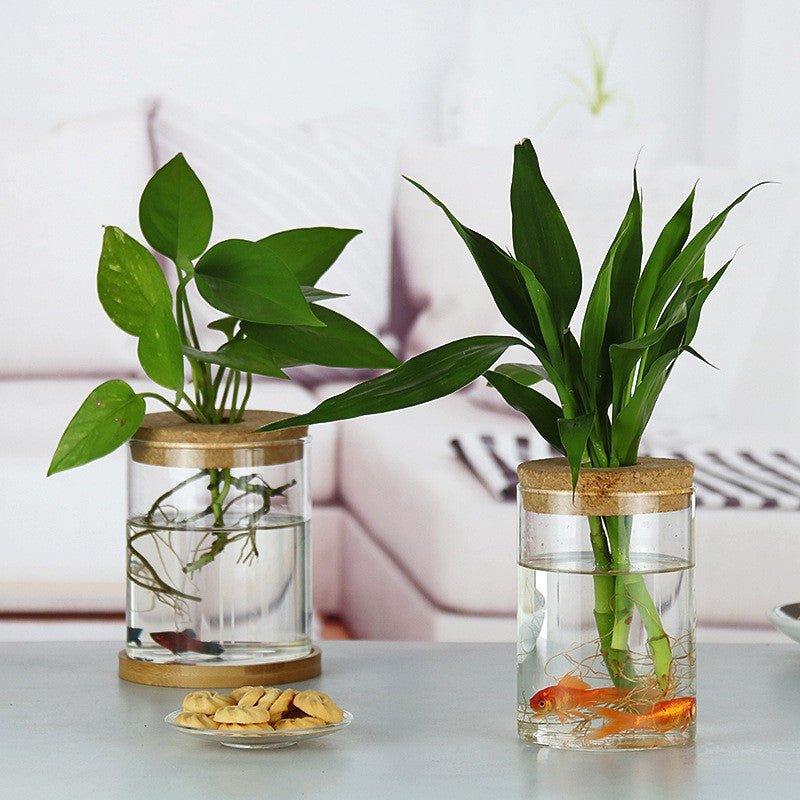 Ecological Bottle Micro Landscape Fish Tank - Image 3