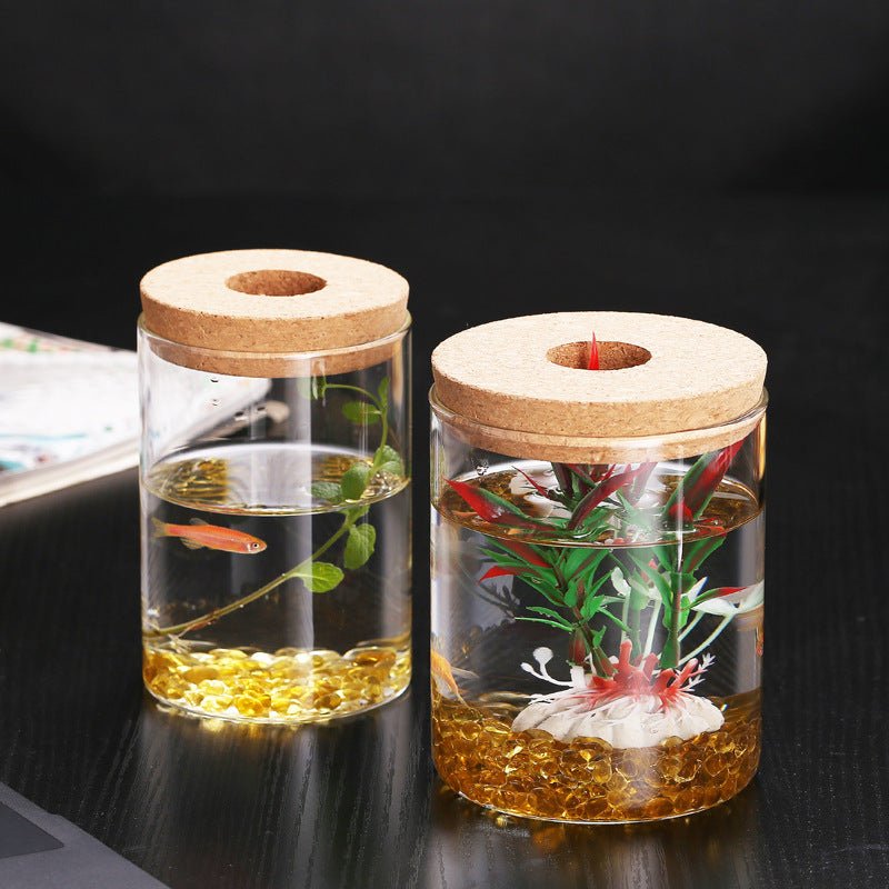 Ecological Bottle Micro Landscape Fish Tank