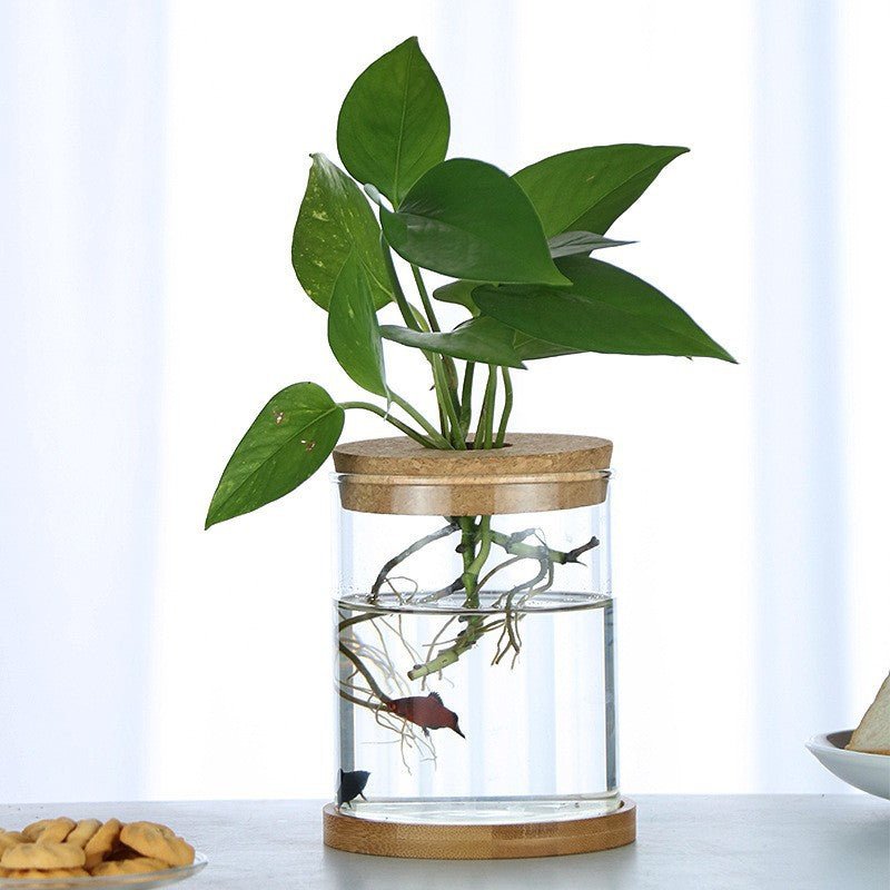Ecological Bottle Micro Landscape Fish Tank - Image 2