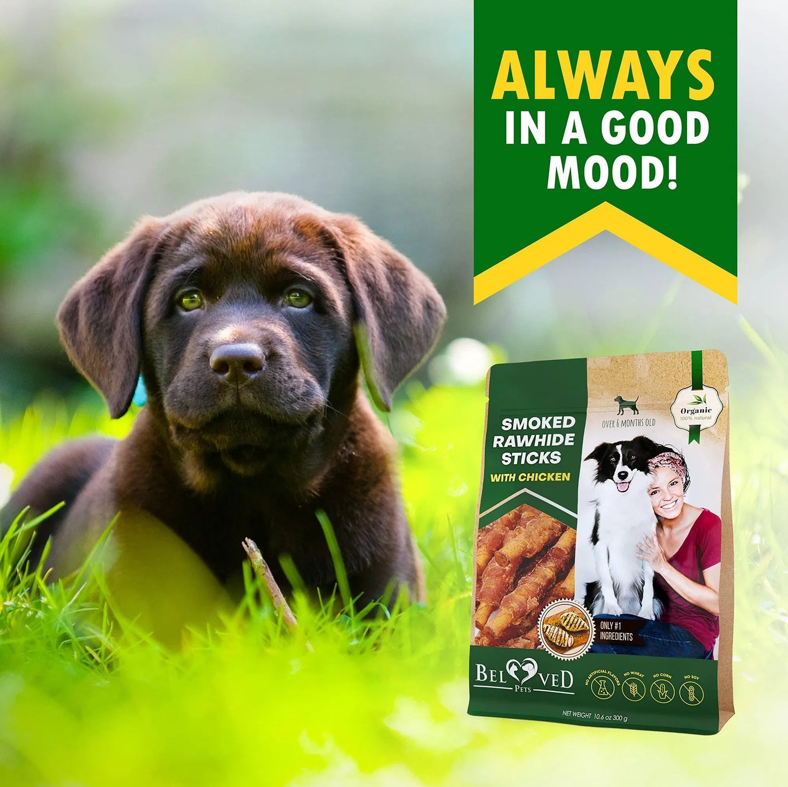 Dog Smoked Rawhide Sticks Wrapped Chicken Pet Natural Chew Treats Grain Free Organic Meat Healthy Human Grade Dried Snacks In Bulk - Image 7